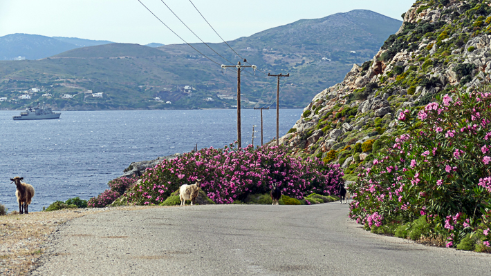 droga na południe wyspy Skyros