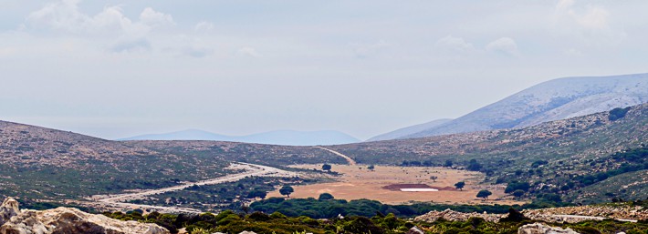 siedlisko dzikiego konia wyspa Skyros