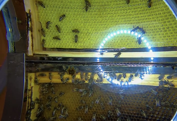 Muzeum pszczelarstwa na Rodos