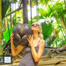 Seszele Praslin Vallee de Mai coco de mer