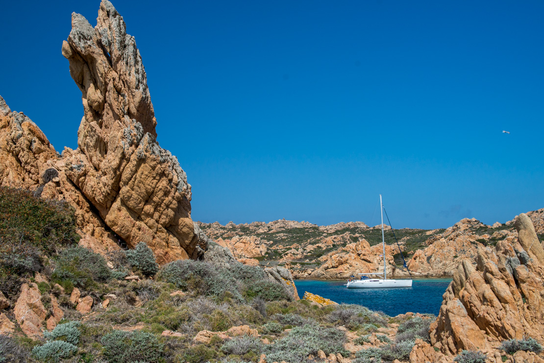 kotwicowisko razzoli