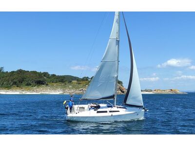 Hanse 315 - zdjęcie