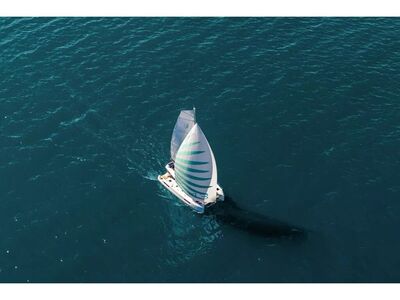 Lagoon 43 - zdjęcie